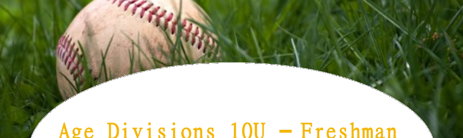 Fall Baseball Banner